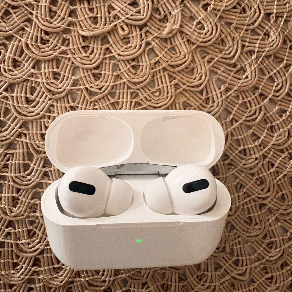 Apple White Earbud Headphones